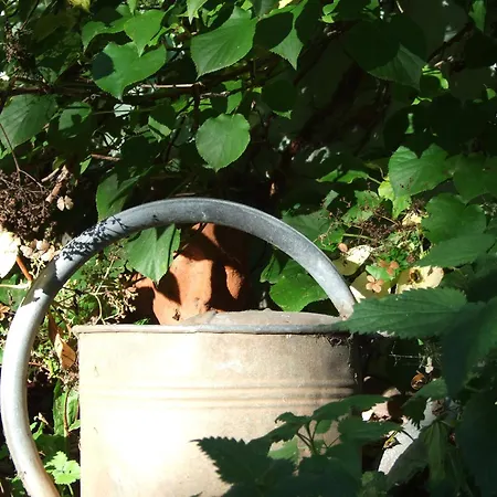 Hébergement de vacances Scheune Landliebe In Holz Und Lehm Garvensdorf